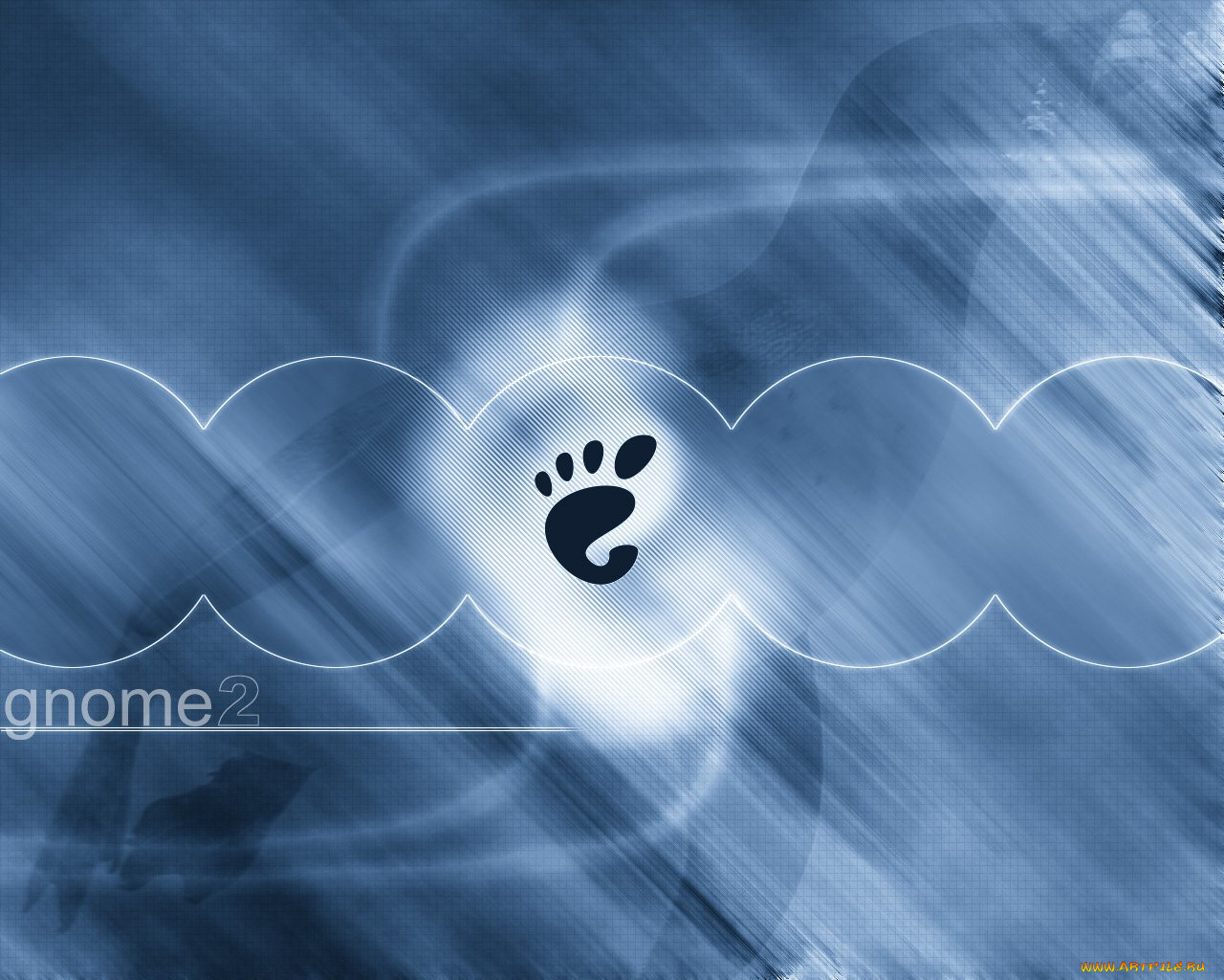 , gnome
